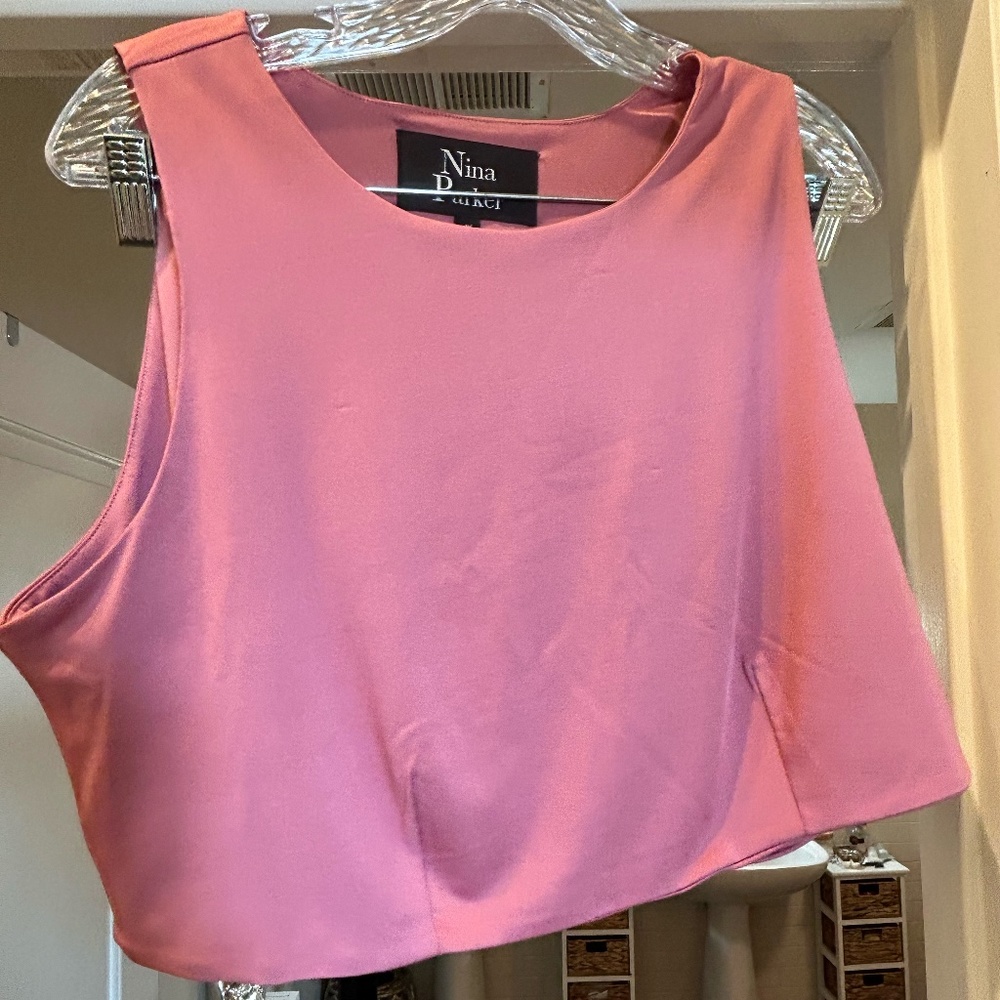 Plus Size Nina Baker Pink Cropped Top